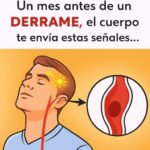 Señales de Advertencia: Los Cambios en Tu Cuerpo Antes de un Derrame Cerebral