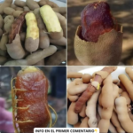 Descubre el Tamarindo: Un Fruto Versátil para la Salud y la Cocina
