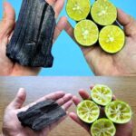 Potente combinación: Limón y Carbón para tu salud
