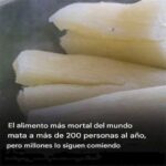 Yuca: El Alimento Sorprendente que Debes Cocinar con Cuidado