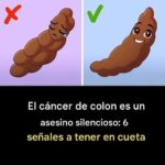 6 Señales en tus Heces que No Debes Ignorar: Cuidado con tu Salud Digestiva