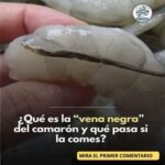 La Vena del Camarón: ¿Es Peligrosa para Tu Salud?