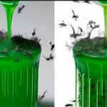 El Insecticida Más Potente Contra Mosquitos que Tienes en Casa