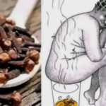 El Poder del Clavo Dulce: Un Tesoro para la Salud de la Mujer
