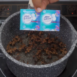 Cómo Mantener tu Casa Libre de Moscas, Mosquitos y Cucarachas con Remedios Naturales