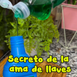 El Secreto de las Amas de Llave: Suavizante Casero con Jabón Líquido