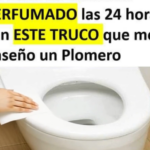 Cómo Mantener tu Baño Perfumado las 24 Horas: Trucos y Remedios Naturales