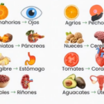 La Comida es Medicina: Cómo una Dieta Saludable Puede Transformar tu Salud