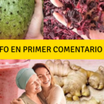 La Potente Combinación de Guanábana, Flor de Jamaica y Jengibre: Un Remedio Natural para el Bienestar