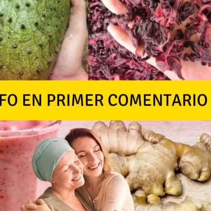 Guanábana, flor de Jamaica y jengibre en un tazón