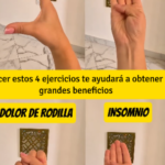 Transforma Tu Salud: Los 4 Ejercicios Clave que Transformarán Tu Bienestar