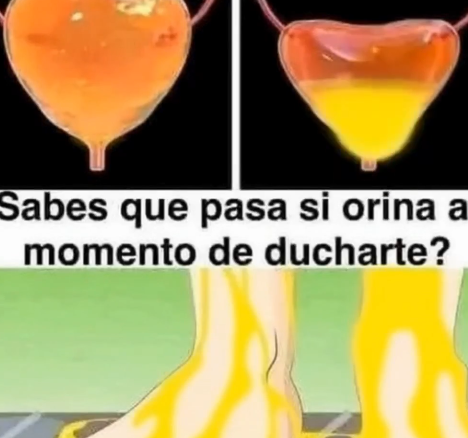 Salud de la vejiga