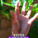 Transforma tu Vida: Ejercicios para una Mente Ágil y un Corazón Saludable