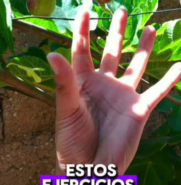 Ejercicios Mentales
