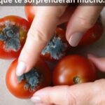 ¡No Tires los Tomates Dañados! Descubre Cómo Reutilizarlos en la Cocina
