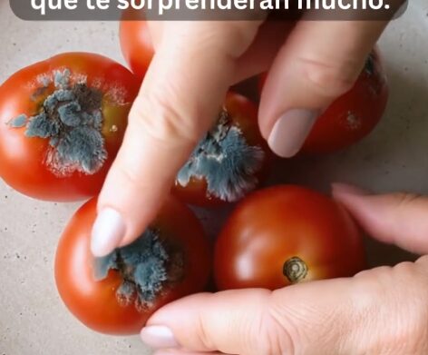 Tomates dañados en la cocina