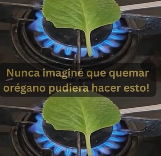 Orégano quemándose para liberar su aroma y propiedades