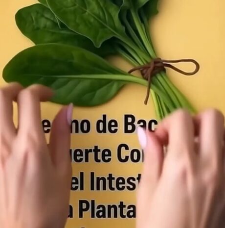 Remedios naturales para limpiar intestinos e hígados