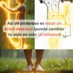 Tocar Árbol Descalzo: Una Conexión Transformadora con la Naturaleza