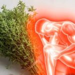 Beneficios del Tomillo: Tu Medicina Natural en Casa