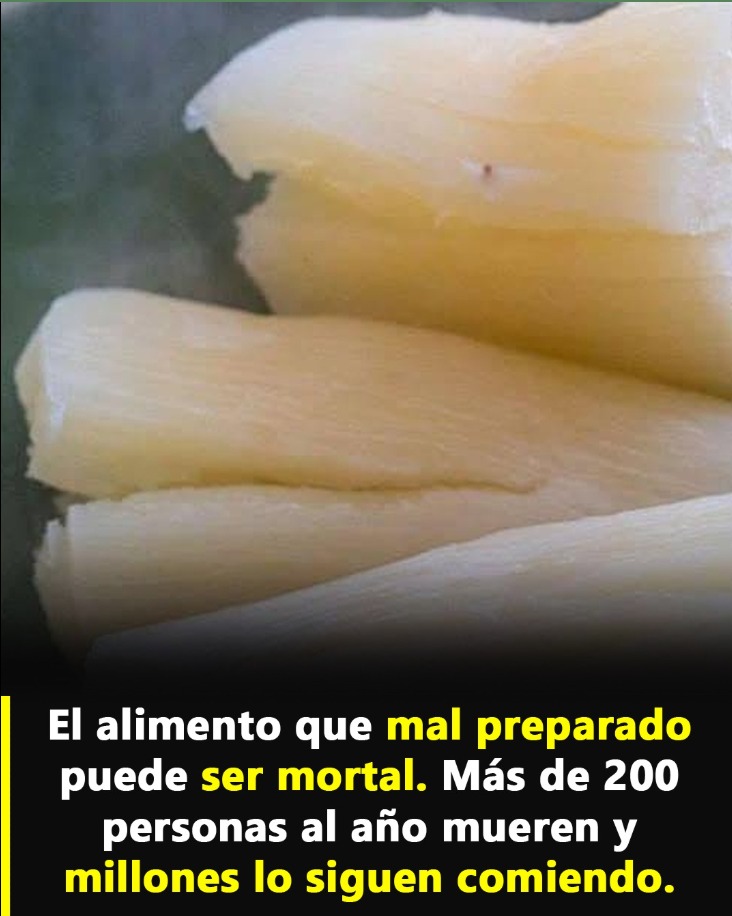 Imagen de trozos de yuca