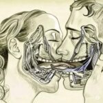 Lo que Sucede Cuando Nos Besamos con Lengua: Arte, Ciencia y Salud