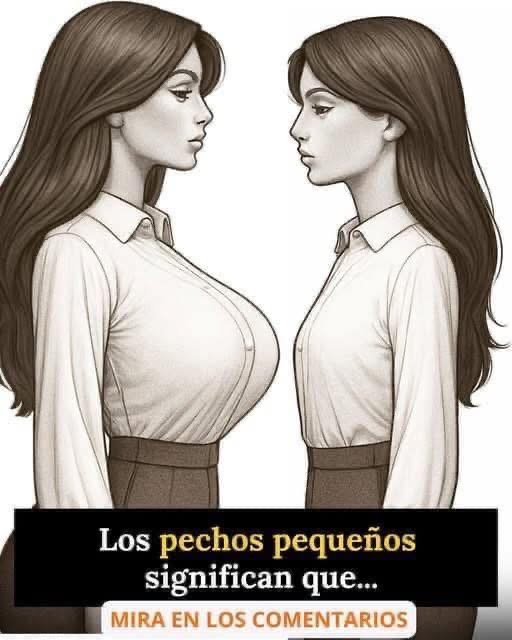 Ilustración de mujeres con bustos grandes y pequeños
