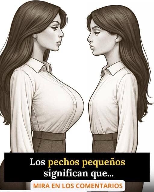 Diversidad en el Tamaño del Busto