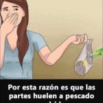 Cómo Combatir los Malos Olores de la Ropa Interior Femenina | Consejos de Higiene