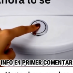 Descubre la Eficiencia del Inodoro: Función de Doble Descarga