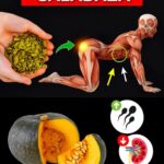 Los Asombrosos Beneficios de Comer Semillas de Calabaza Diariamente