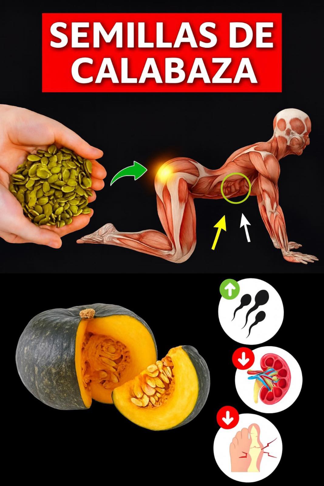 Beneficios de las semillas de calabaza