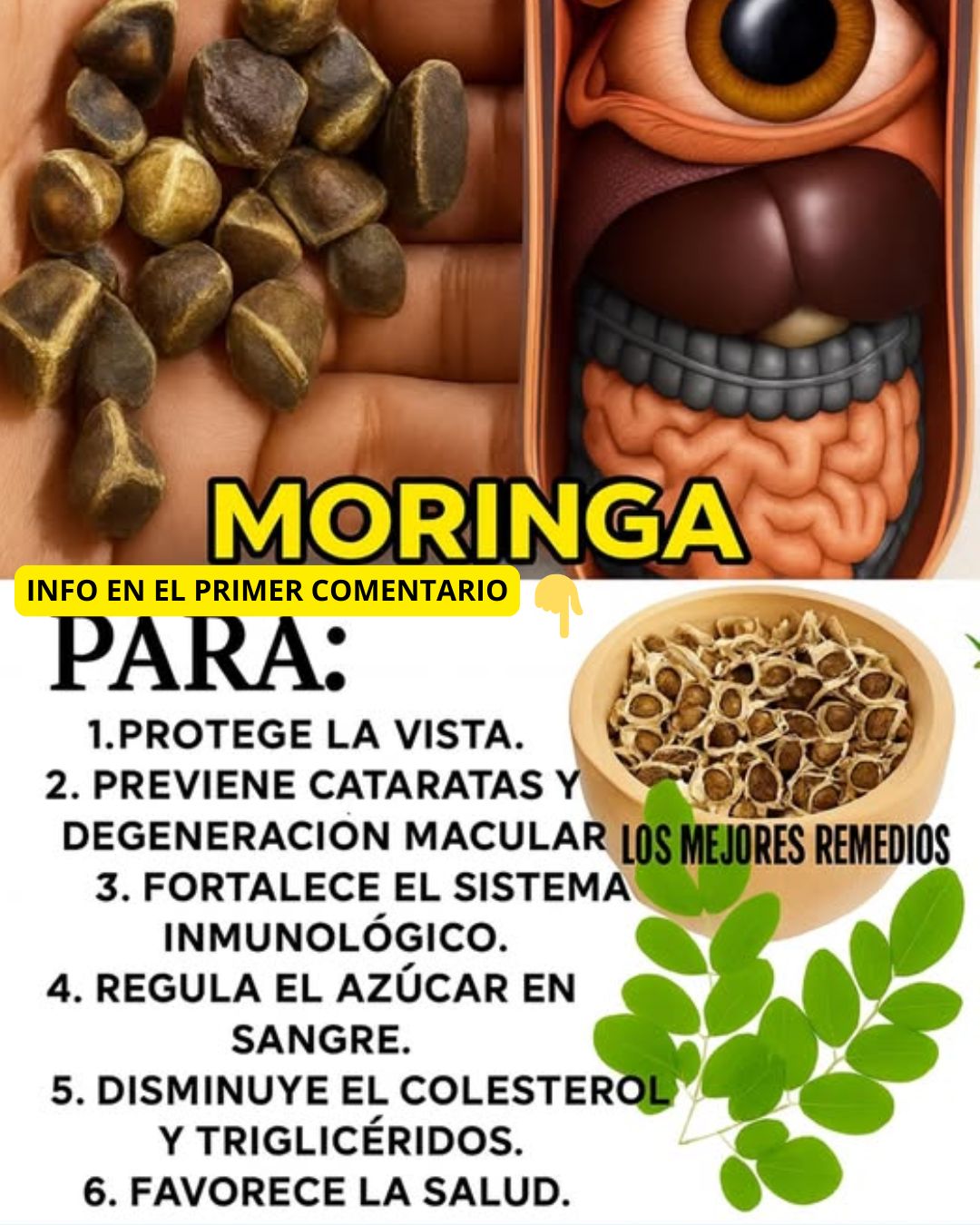 Beneficios de la Moringa para la Vista