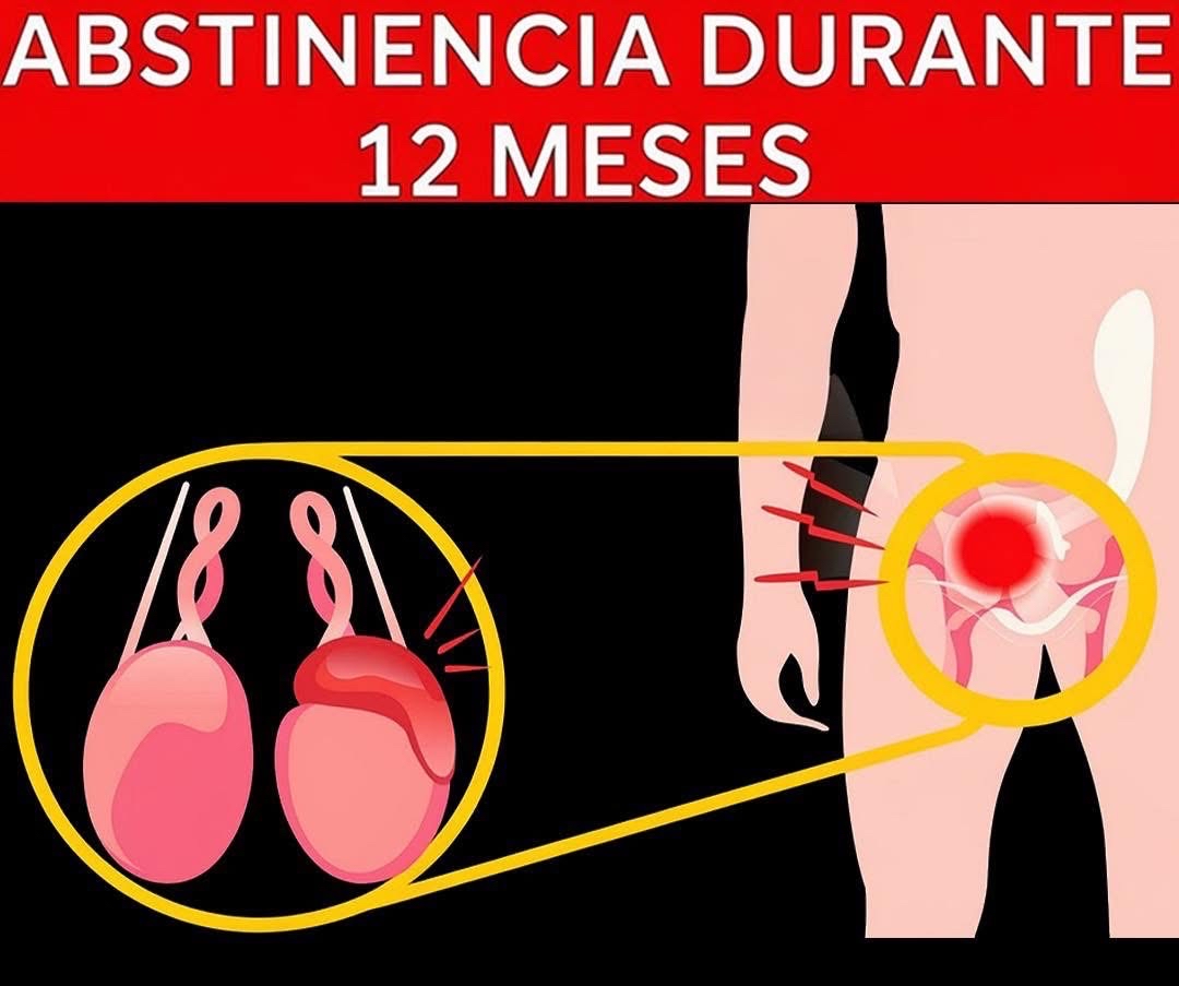 Ilustración anatómica de efectos de la abstinencia en hombres