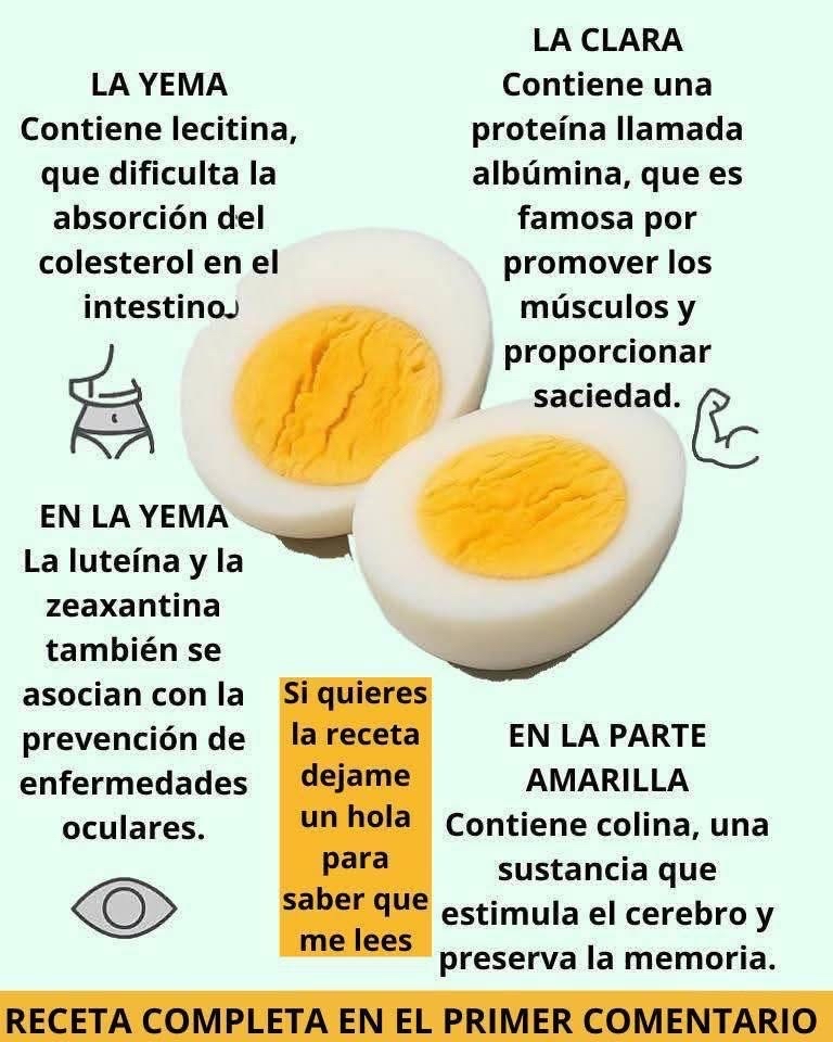 Beneficios del Huevo Hervido