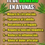 Té de Romero en Ayunas: 20 Beneficios que Transformarán tu Salud