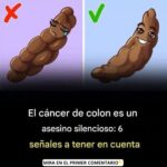 Señales de Alerta para Prevenir el Cáncer de Colon