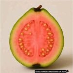 El Té de Hojas de Guayaba: Un Remedio Natural para Mejorar tu Salud