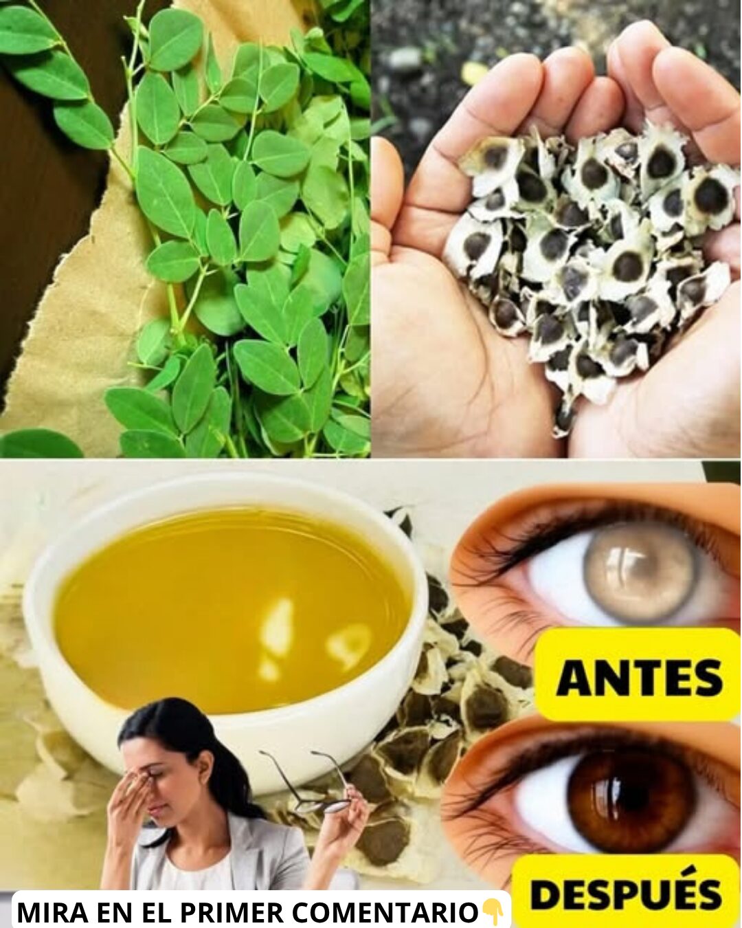 Beneficios de las Semillas de Moringa