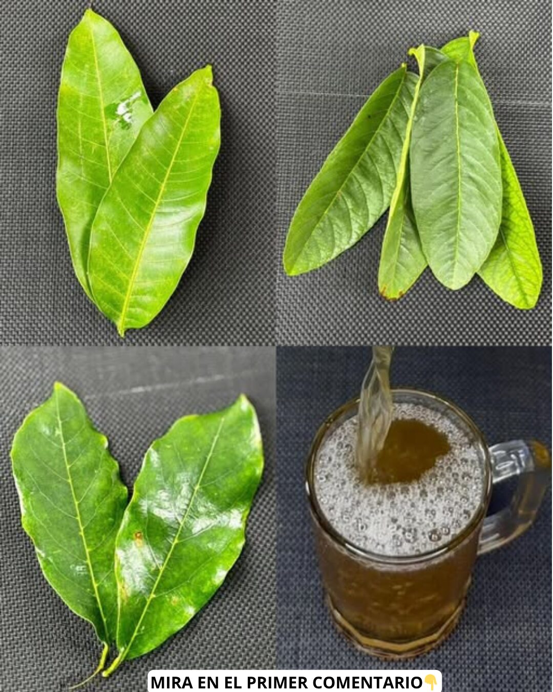 Hojas medicinales y bebida natural