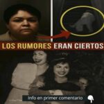 Remedios Naturales: Recetas Caseras para Potenciar tu Salud