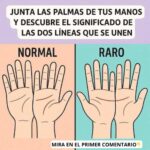 Descifra el Mensaje de tus Manos: Quiromancia y Remedios Naturales