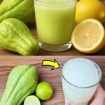 Chayote: Beneficios para la Circulación, Anemia y Dolor de Articulaciones | Recetas Saludables