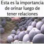 La Importancia de Orinar Después de las Relaciones Sexuales