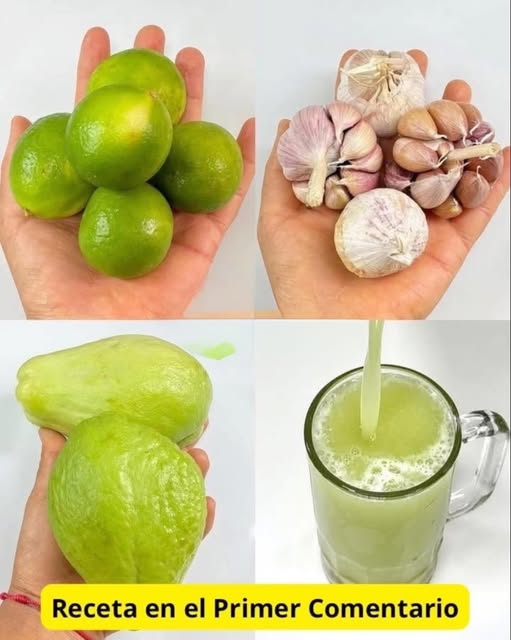 Ingredientes para la bebida natural