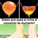 Orinar en la Ducha: Mitos, Beneficios y Cuidados