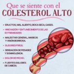 Cómo Identificar y Manejar los Síntomas del Colesterol Alto