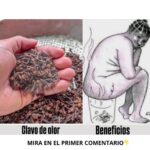 Los Poderes del Clavo de Olor: Remedios Naturales y Beneficios para la Salud