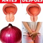 Receta Natural del Abuelo: Mejora la Salud de tu Vejiga y Próstata