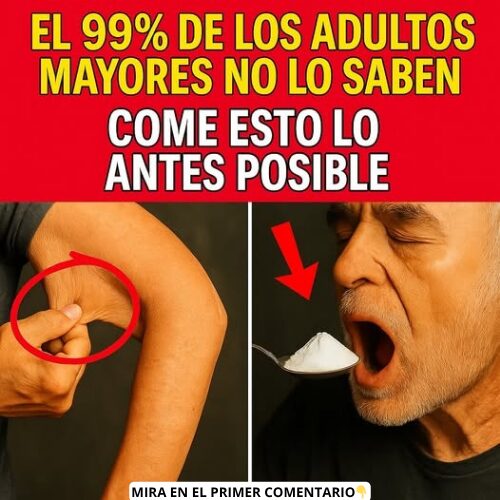 Alimentos saludables para adultos mayores